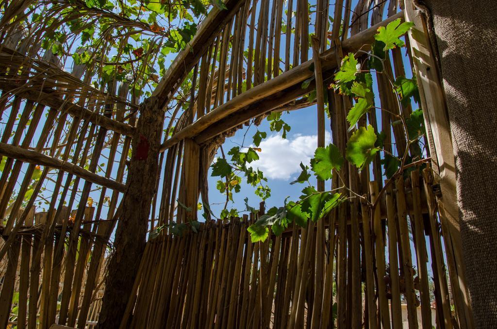 Kfar Hanokdim - Glamping & Camping Arad Exteriér fotografie
